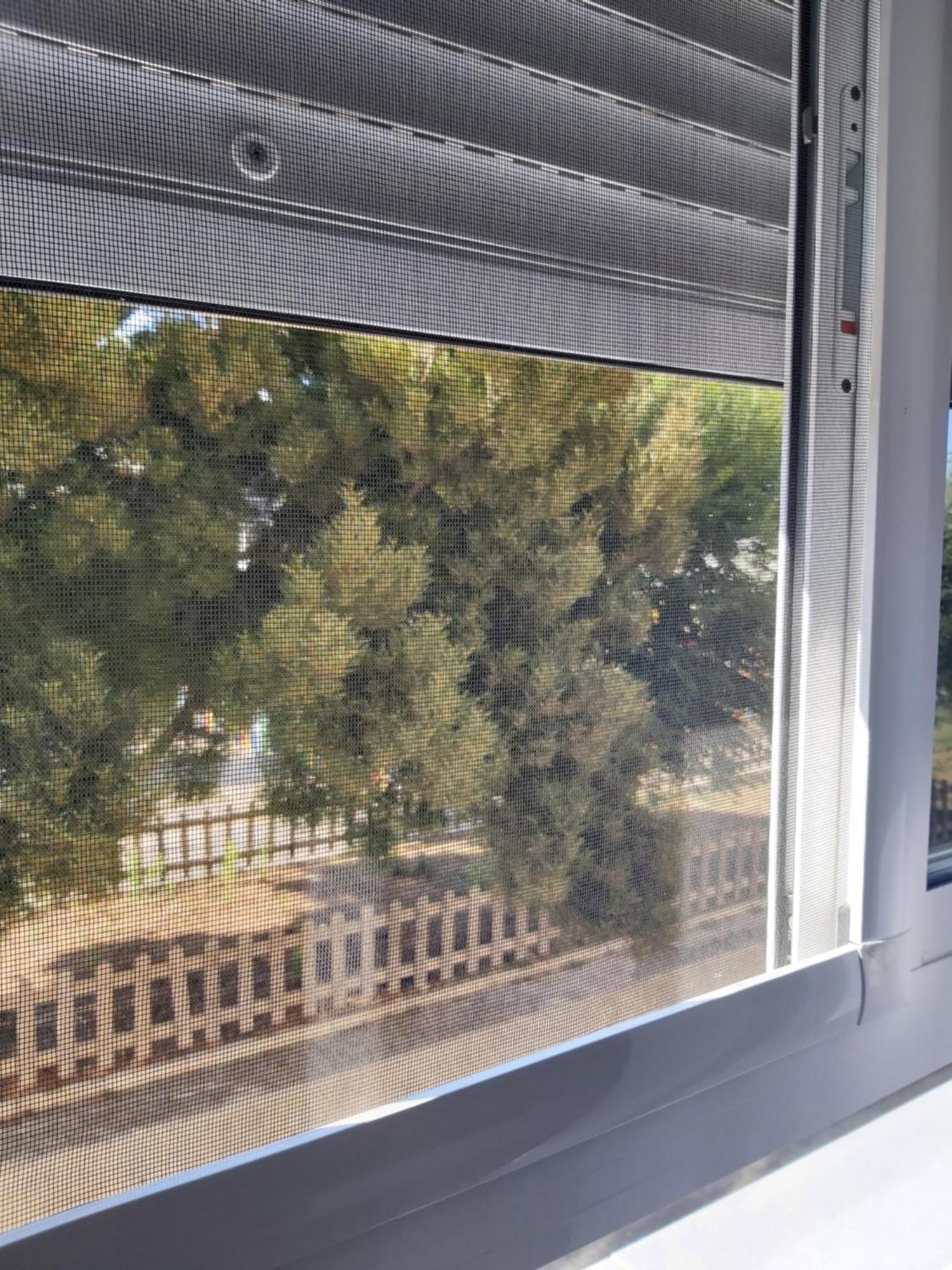 Villatata طريفة المظهر الخارجي الصورة